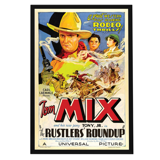 "Rustlers' Roundup" (1933) Framed Movie Poster