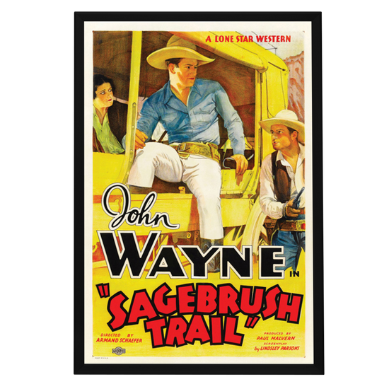 "Sagebrush Trail" (1933) Framed Movie Poster