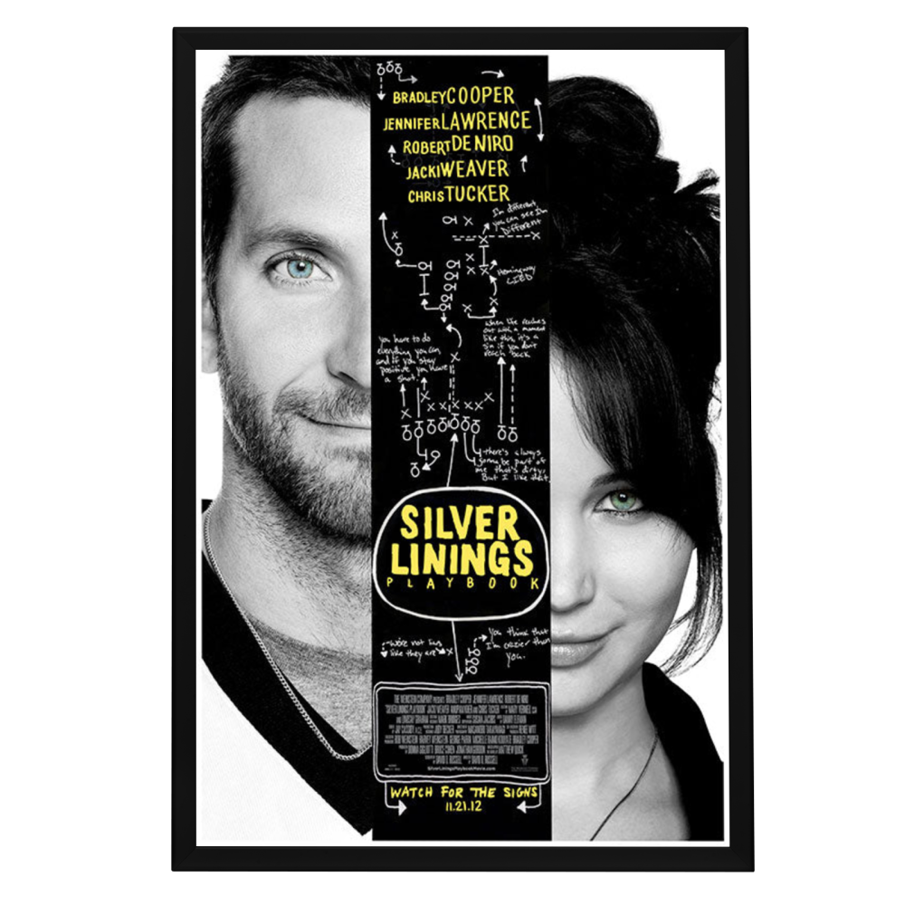 "Silver Linings Playbook" (2012) Framed Movie Poster