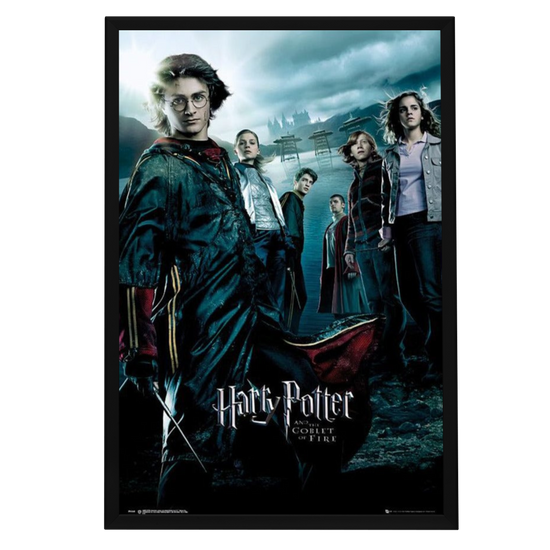 "Harry Potter And The Goblet Of Fire" (2005) Framed Movie Poster
