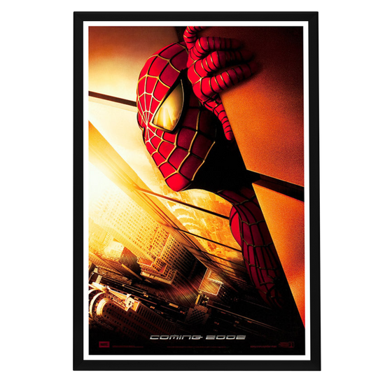 "Spider-man" (2002) Framed Movie Poster