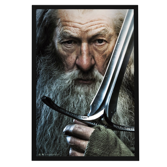 "Hobbit: The Battle of Five Armies" (2014) Framed Movie Poster