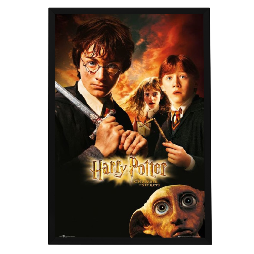 "Harry Potter and the Chamber of Secrets" (2002) Framed Movie Poster