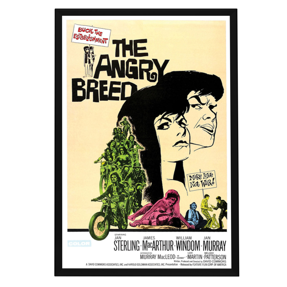 "Angry Breed" (1968) Framed Movie Poster
