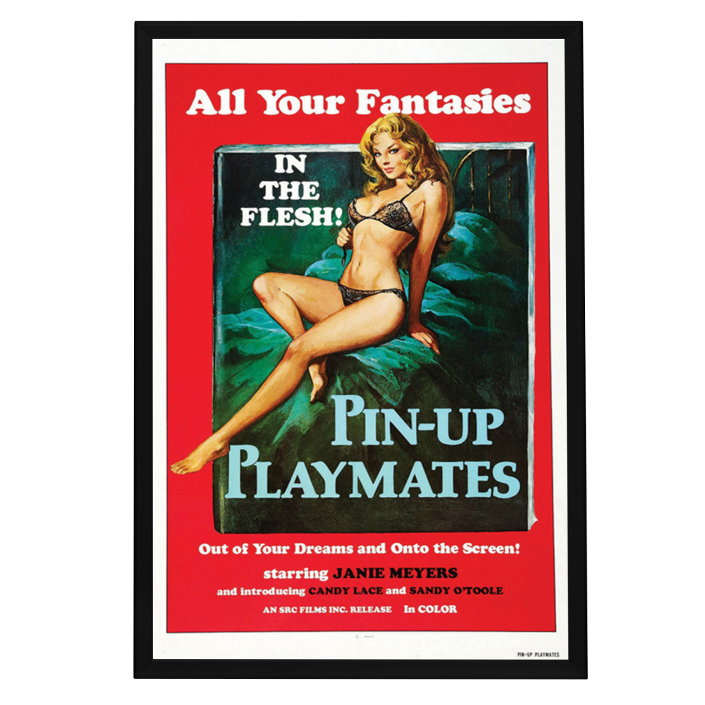 "Pin-Up Playmates" (1972) Framed Movie Poster