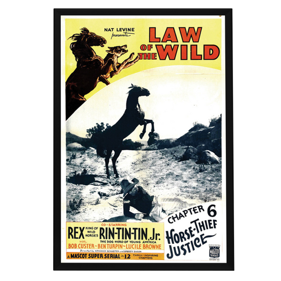 "Law Of The Wild" (1934) Framed Movie Poster