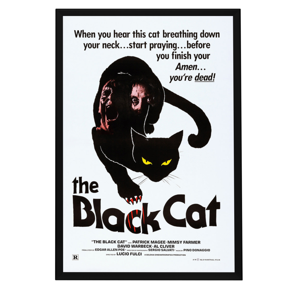"Black Cat" (1981) Framed Movie Poster