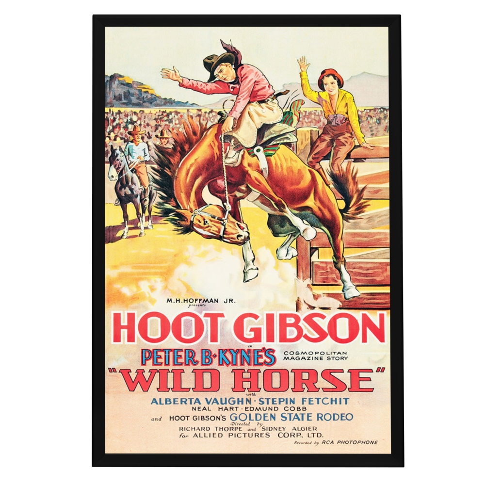 "Wild Horse" (1931) Framed Movie Poster