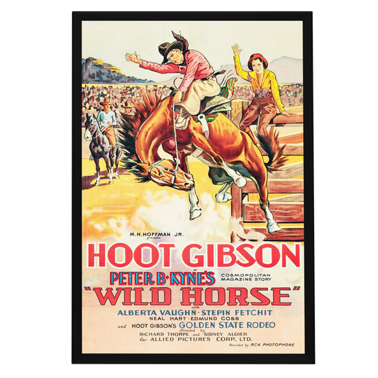 "Wild Horse" (1931) Framed Movie Poster