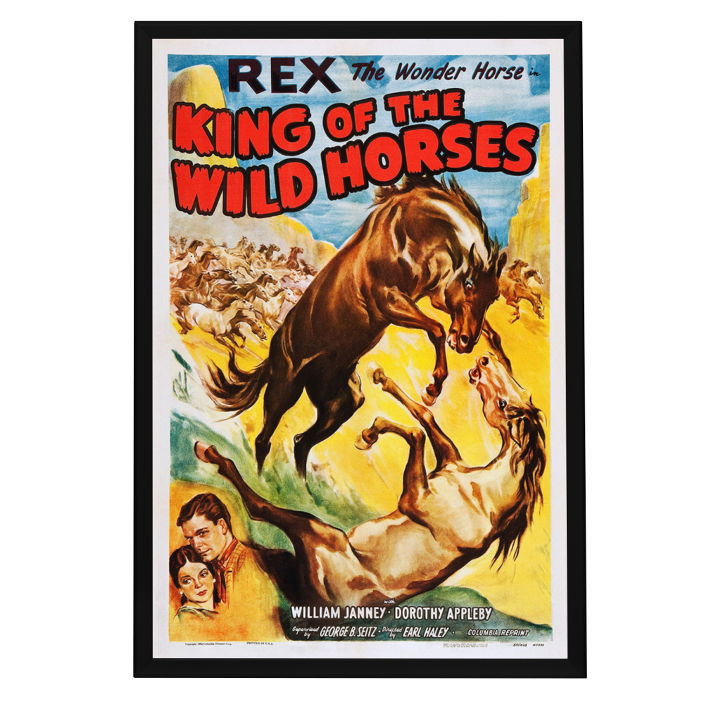 "King Of The Wild Horses" (1933) Framed Movie Poster