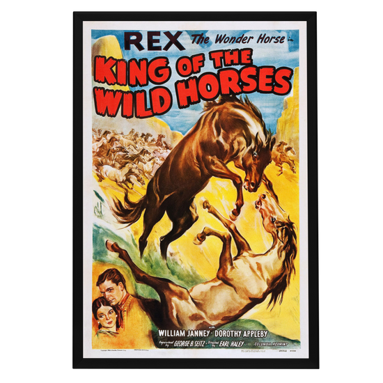 "King Of The Wild Horses" (1933) Framed Movie Poster