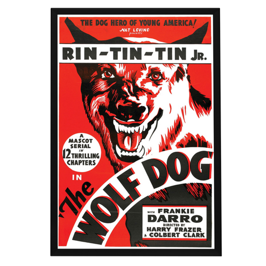 "Wolf Dog" (1933) Framed Movie Poster