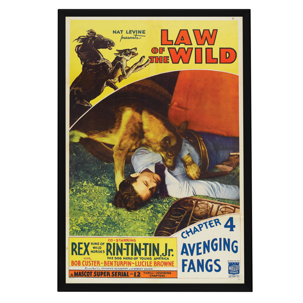 "Law Of The Wild" (1934) Framed Movie Poster