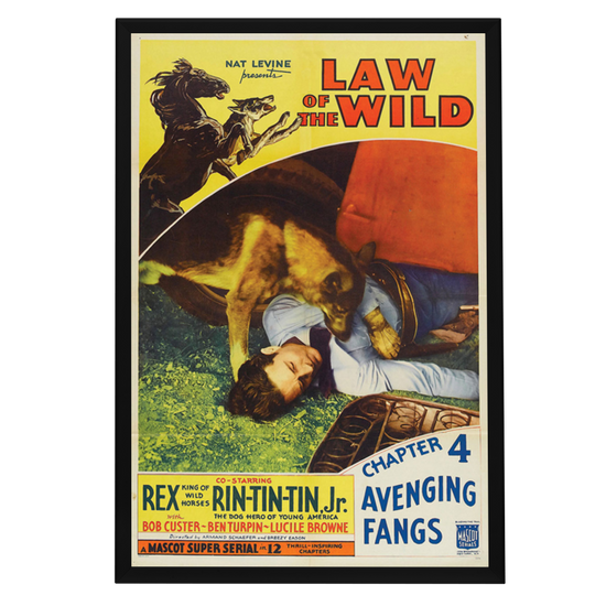 "Law Of The Wild" (1934) Framed Movie Poster