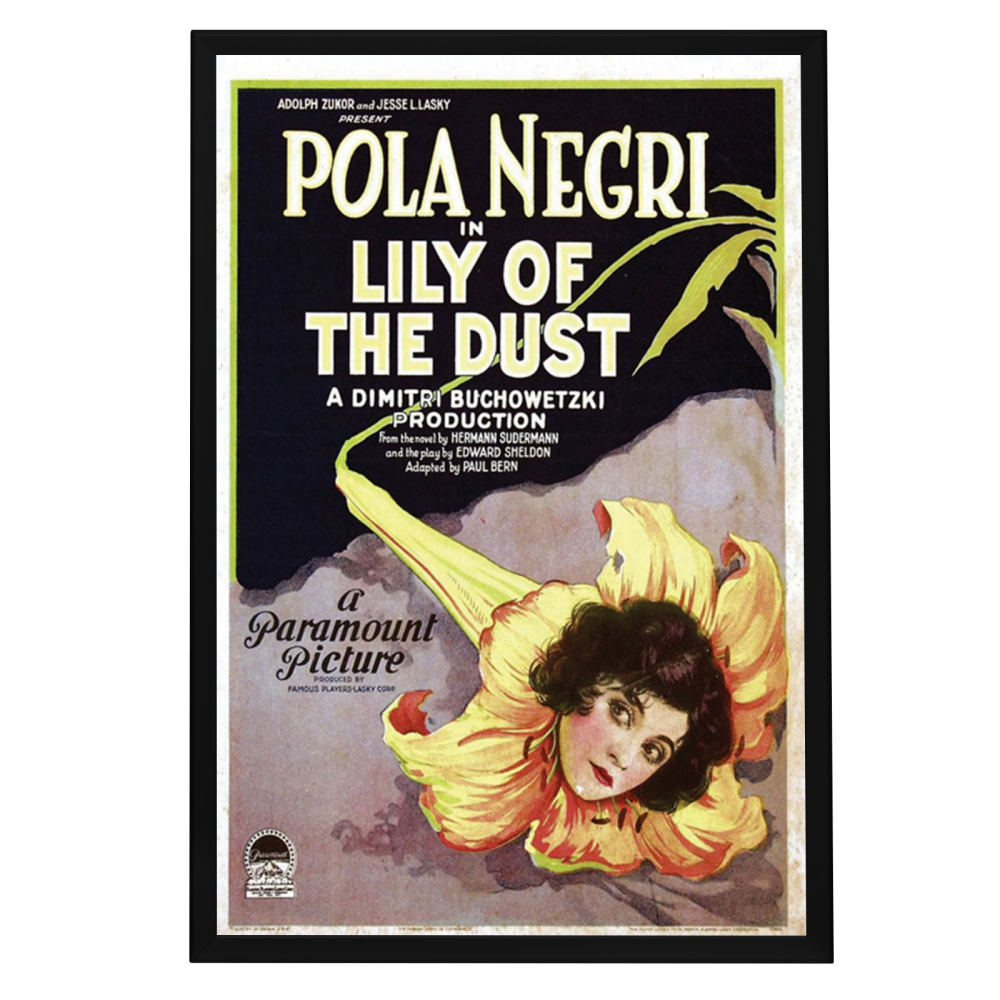 "Lily Of The Dust" (1924) Framed Movie Poster