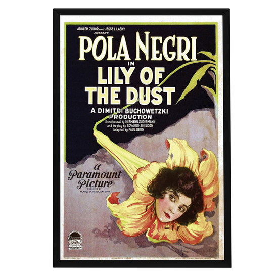 "Lily Of The Dust" (1924) Framed Movie Poster