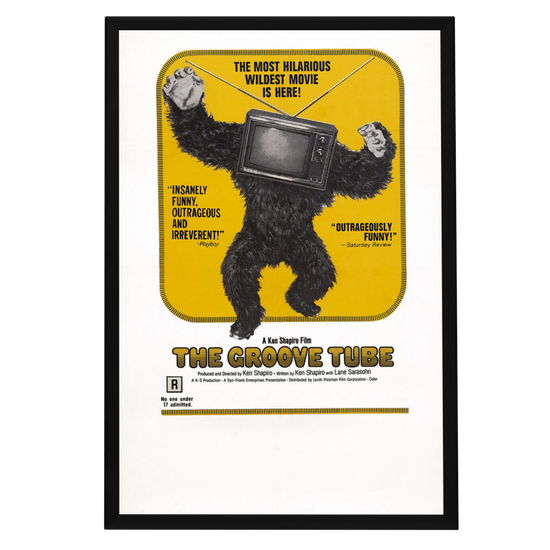 "Groove Tube" (1974) Framed Movie Poster