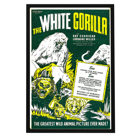 "White Gorilla" (1945) Framed Movie Poster