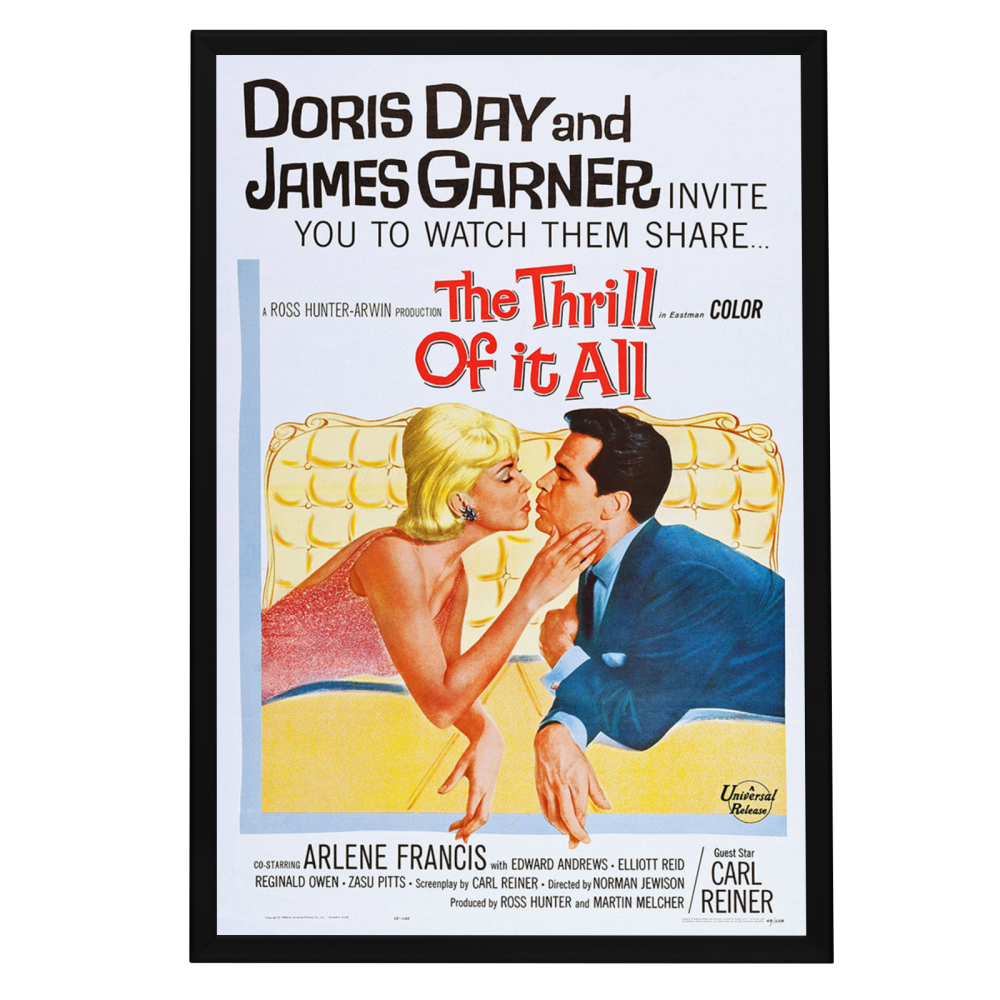 "Thrill Of It All" (1963) Framed Movie Poster