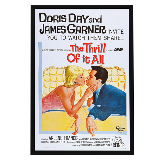 "Thrill Of It All" (1963) Framed Movie Poster