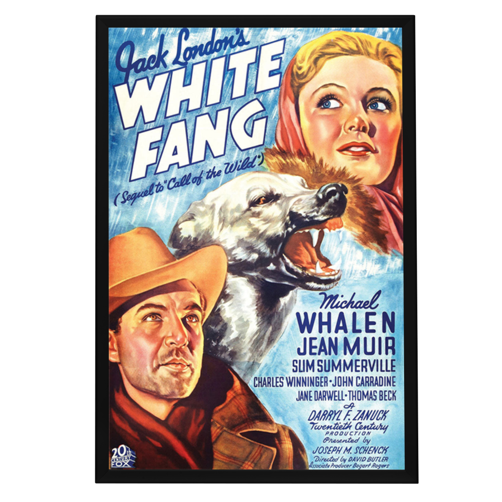 "White Fang" (1936) Framed Movie Poster