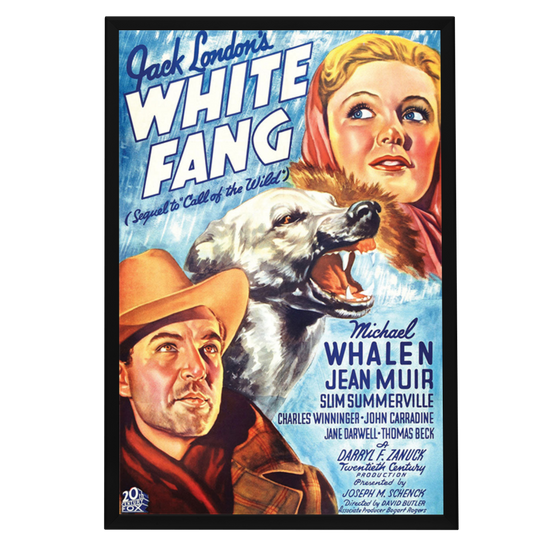 "White Fang" (1936) Framed Movie Poster