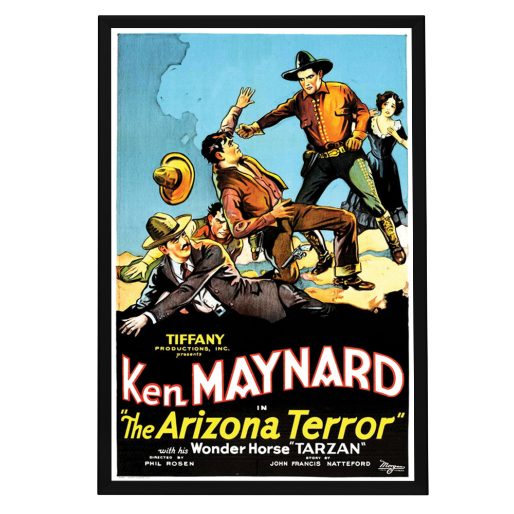 "Arizona Terror" (1931) Framed Movie Poster