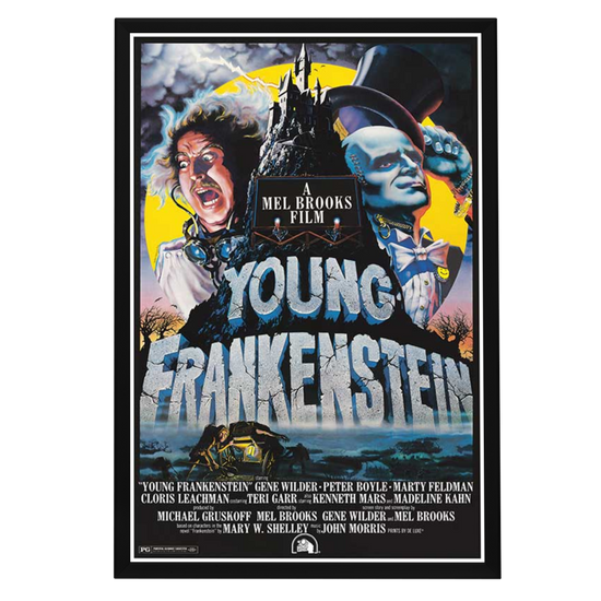 "Young Frankenstein" Framed Movie Poster