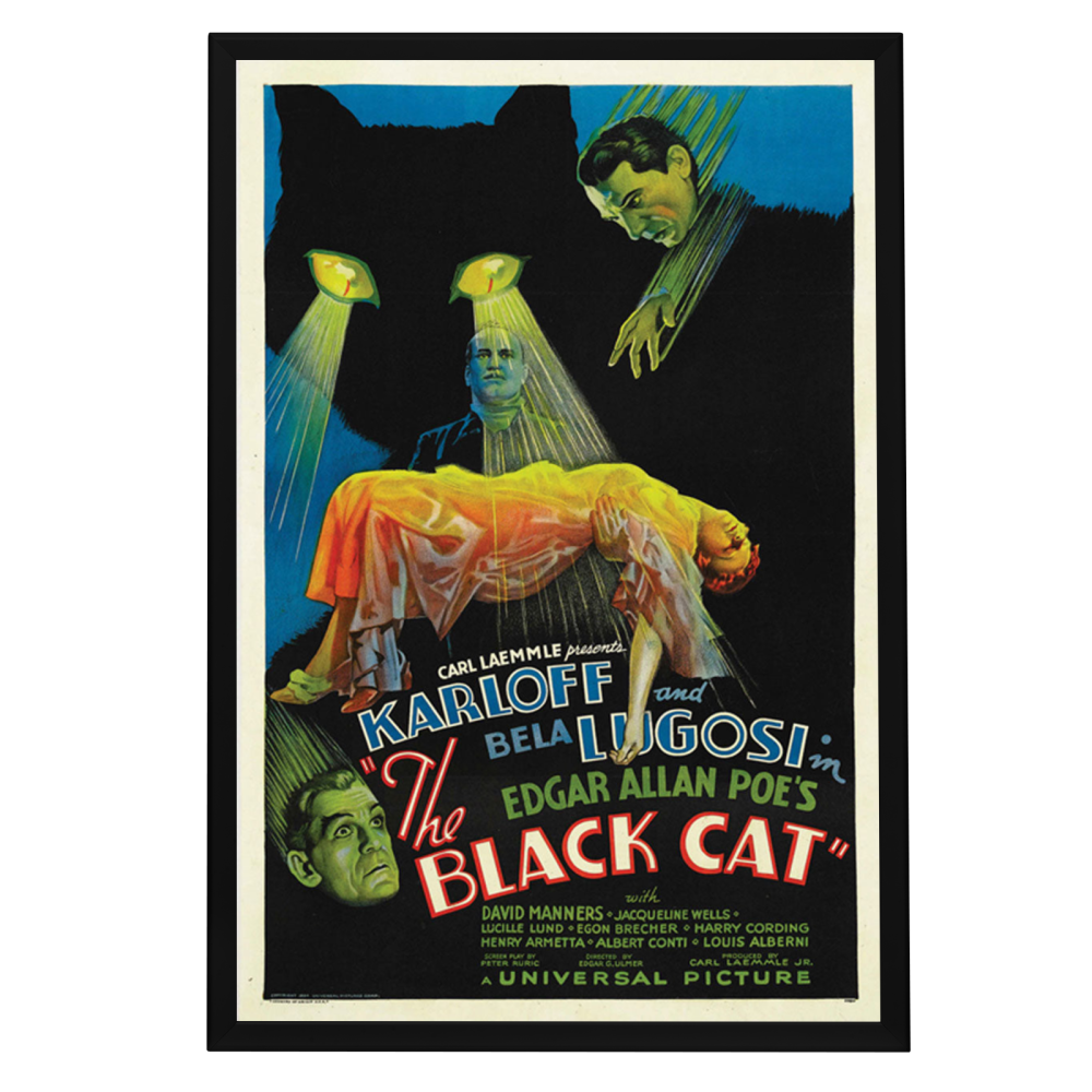 "Black Cat" (1934) Framed Movie Poster