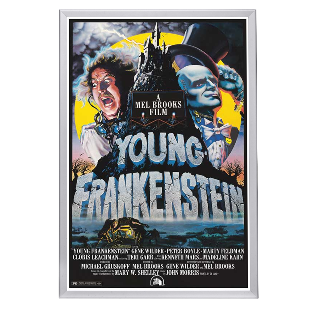 "Young Frankenstein" Framed Movie Poster