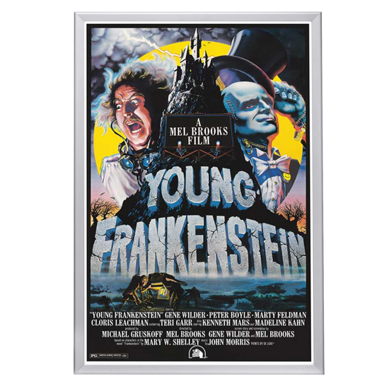 "Young Frankenstein" Framed Movie Poster