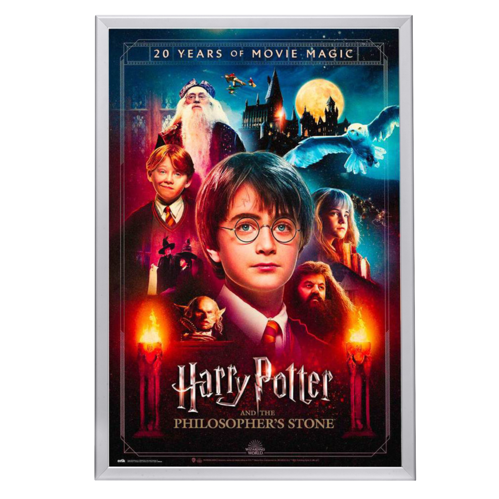 "Harry Potter And The Philosopher's Stone" (2001) Framed Movie Poster