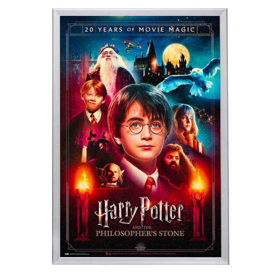 "Harry Potter And The Philosopher's Stone" (2001) Framed Movie Poster