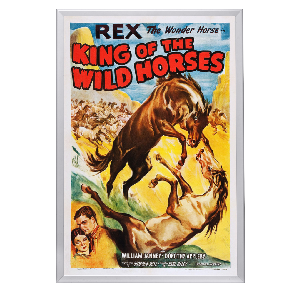 "King Of The Wild Horses" (1933) Framed Movie Poster