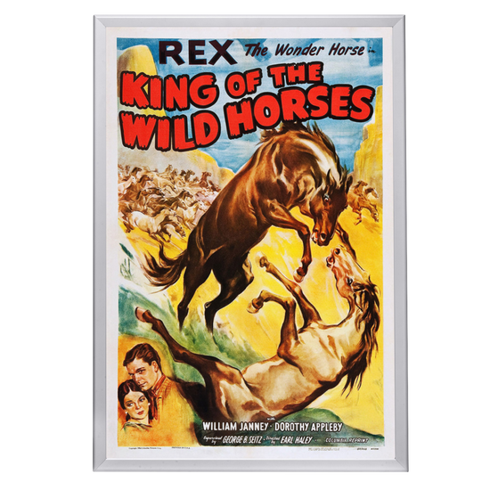 "King Of The Wild Horses" (1933) Framed Movie Poster