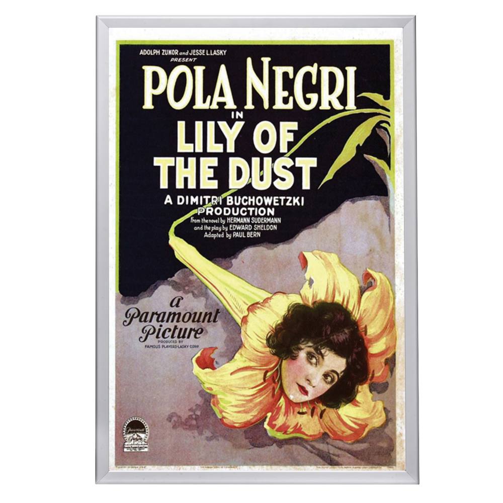 "Lily Of The Dust" (1924) Framed Movie Poster