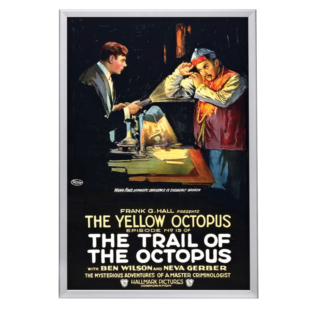"Trail Of The Octopus" (1919) Framed Movie Poster