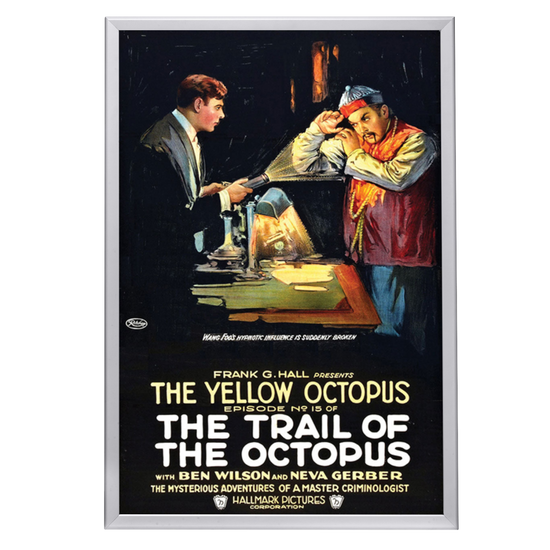 "Trail Of The Octopus" (1919) Framed Movie Poster