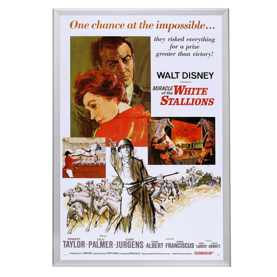 "Miracle Of The White Stallions" (1963) Framed Movie Poster