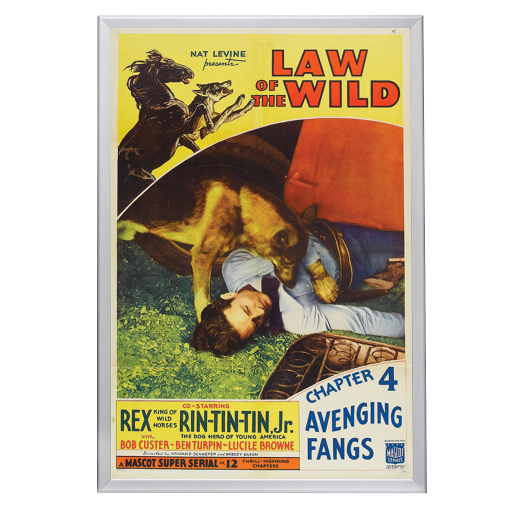 "Law Of The Wild" (1934) Framed Movie Poster