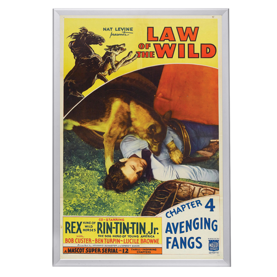 "Law Of The Wild" (1934) Framed Movie Poster