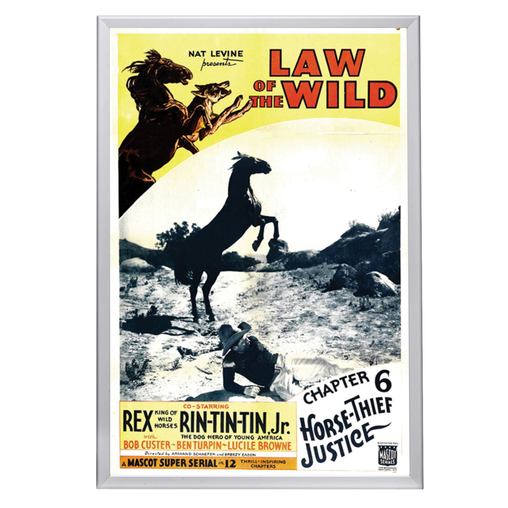 "Law Of The Wild" (1934) Framed Movie Poster