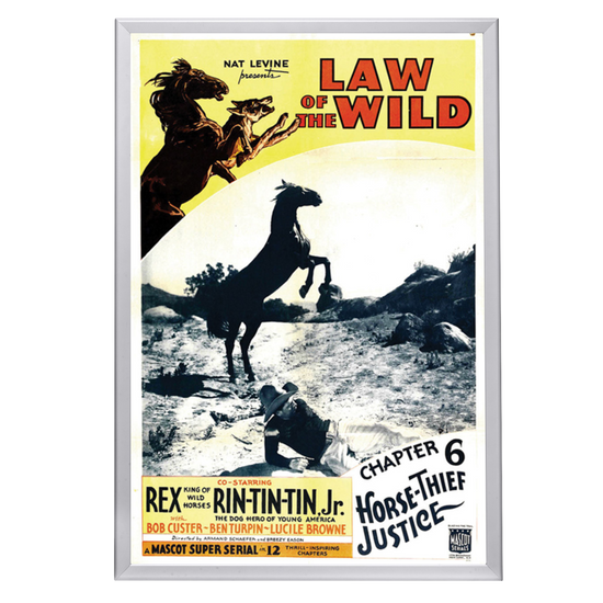 "Law Of The Wild" (1934) Framed Movie Poster