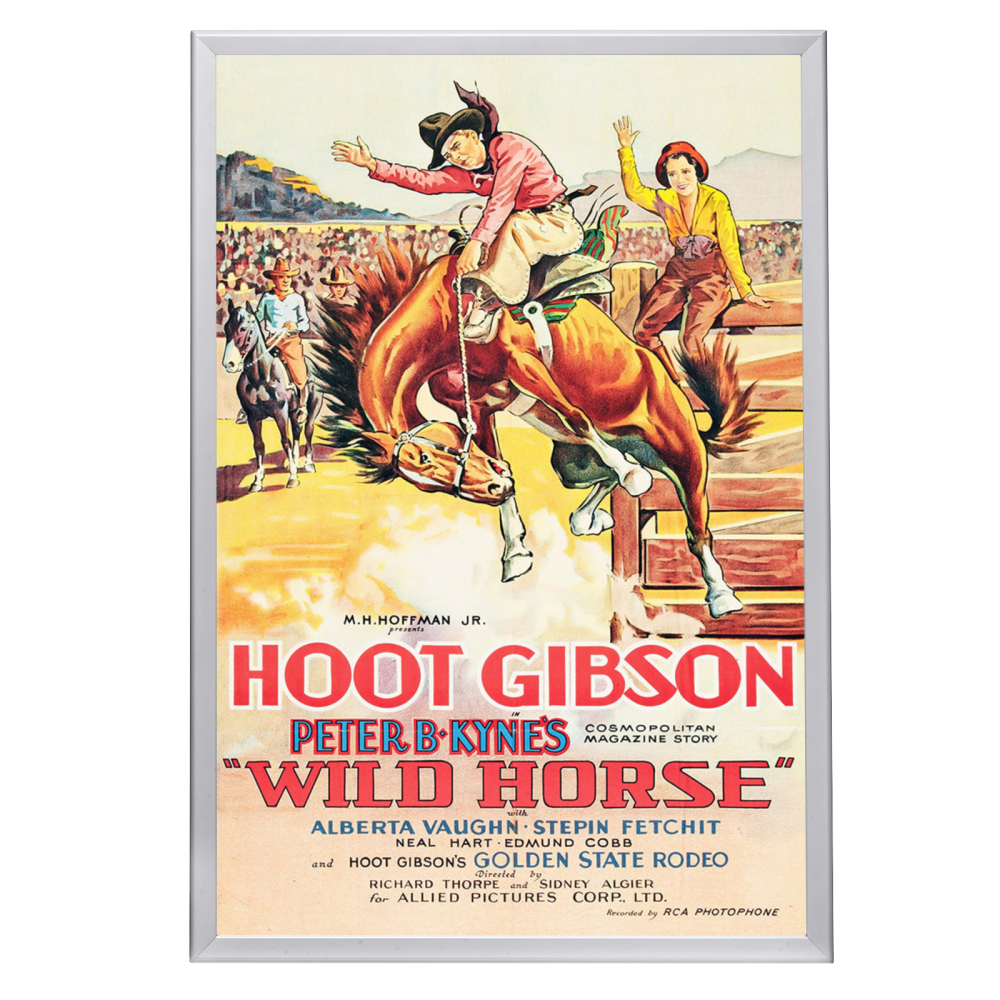 "Wild Horse" (1931) Framed Movie Poster