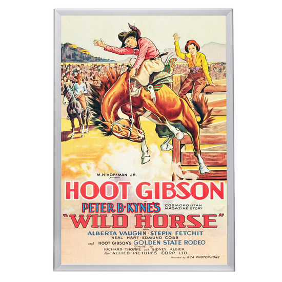 "Wild Horse" (1931) Framed Movie Poster