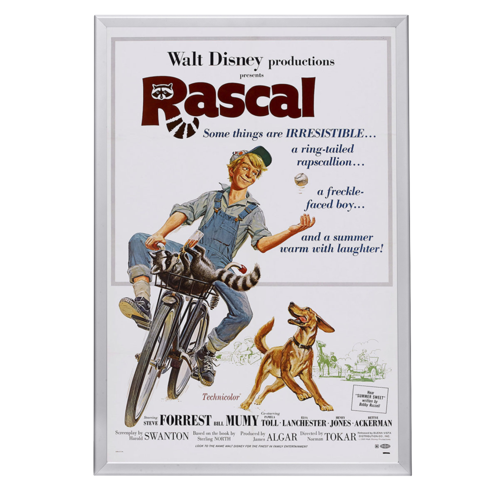 Disney – MoviePosterFrames.com
