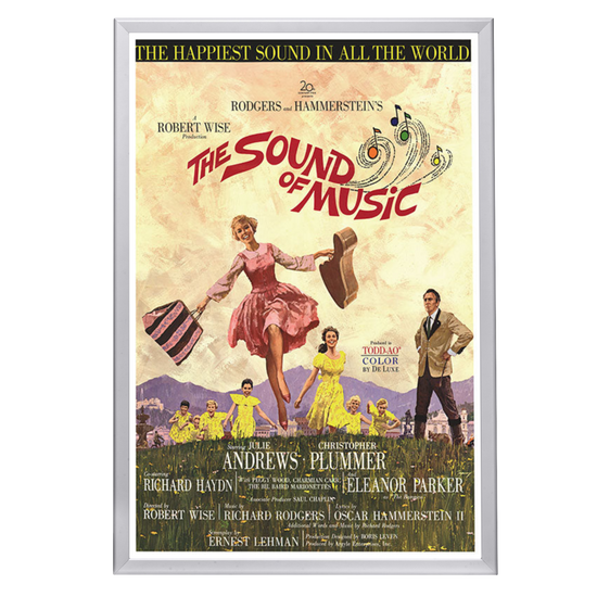 "Sound Of Music" (1965) Framed Movie Poster