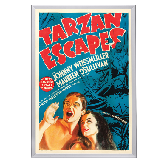 "Tarzan Escapes" (1936) Framed Movie Poster