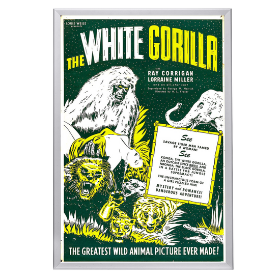 "White Gorilla" (1945) Framed Movie Poster