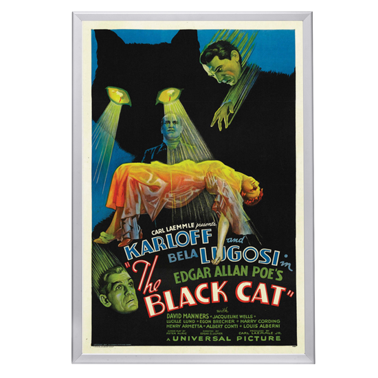 "Black Cat" (1934) Framed Movie Poster